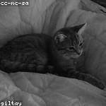 Cullen Hegmann Profile Picture