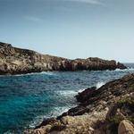 Justyn Witting Profile Picture