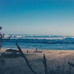 Lesley Feil Profile Picture