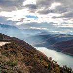 Jovani Ondricka Profile Picture