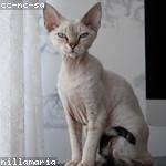 Leonel Ullrich Profile Picture