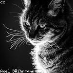 Dudley Frami Profile Picture