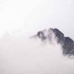 Josefa Mertz Profile Picture