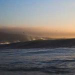 Tomasa Ryan Profile Picture