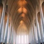 Kip Gutkowski Profile Picture