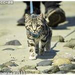 Muriel Pacocha Profile Picture