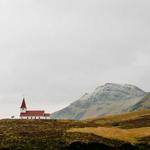 Norbert Feeney Profile Picture