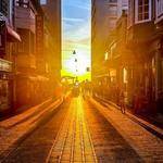 Harold Boehm Profile Picture