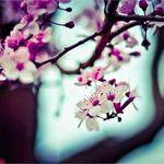 Frances Ruecker Profile Picture