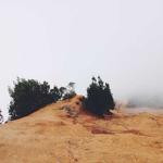 Jammie Stokes Profile Picture