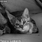 Bailey Wunsch Profile Picture