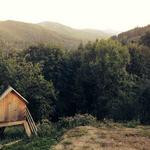 Kenton McKenzie Profile Picture