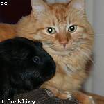 Lynn Wolf Profile Picture