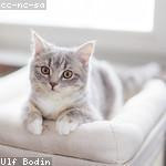 Bradford Nienow Profile Picture