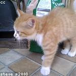 Marguerite Schmitt Profile Picture