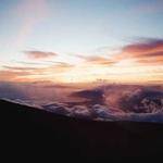 Americo Veum Profile Picture