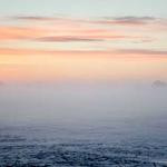 Brionna Will Profile Picture