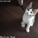 Retha Berge Profile Picture