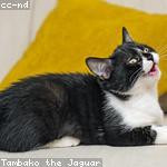 Melisa Terry Profile Picture