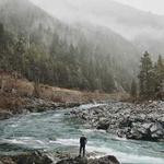 Leatha Considine Profile Picture