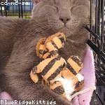 Matt Ledner Profile Picture