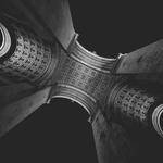 Celestine Franecki Profile Picture