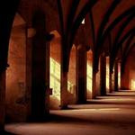 Conrad Weissnat Profile Picture