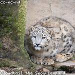 Tad Wilkinson Profile Picture