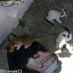 Dorothea Price Profile Picture