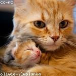 Deron Weber Profile Picture