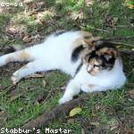 Rita Larson Profile Picture