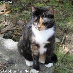 Freddy Denesik Profile Picture