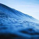 Frederick Streich Profile Picture