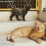 Eloy Marks Profile Picture